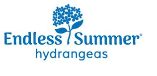 Endless Summer