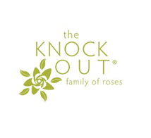 Knock Out® Roses