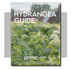 Hydrangea Guide