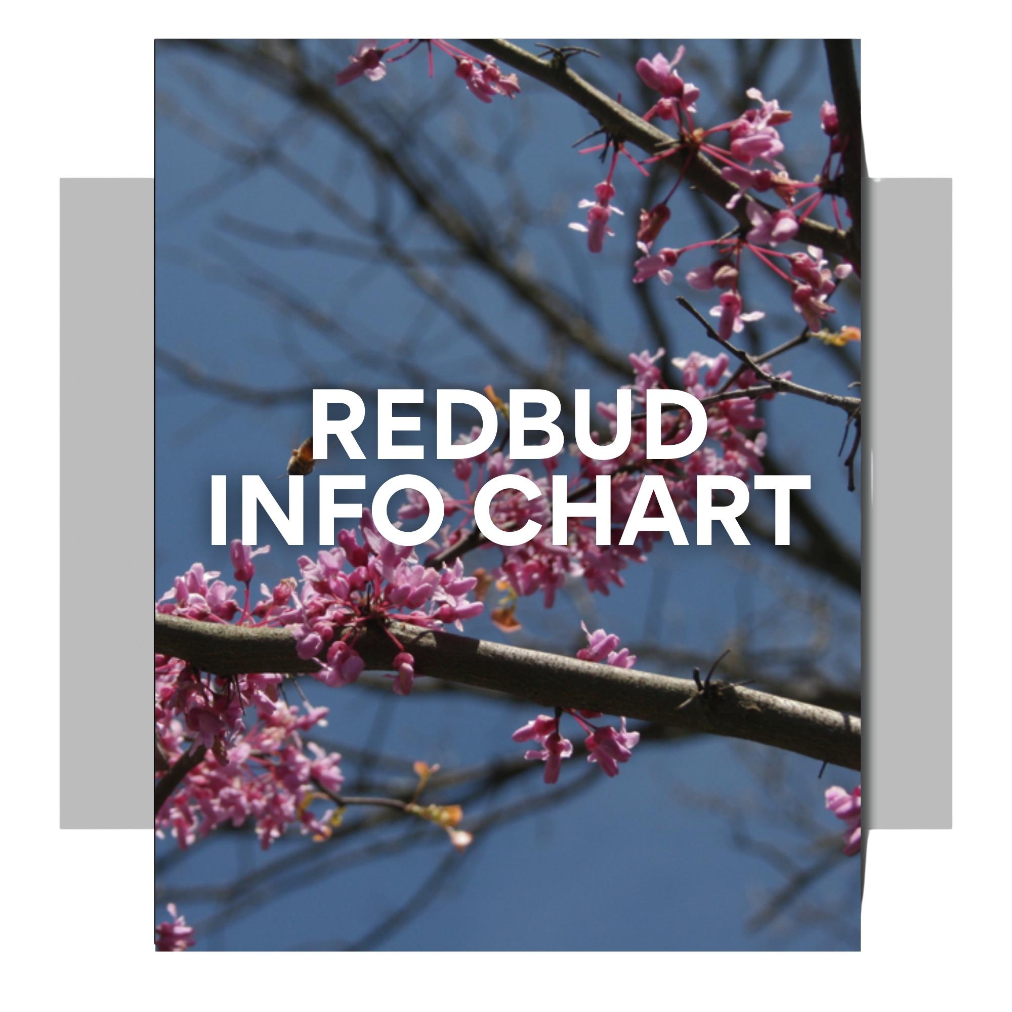Redbud Info Chart