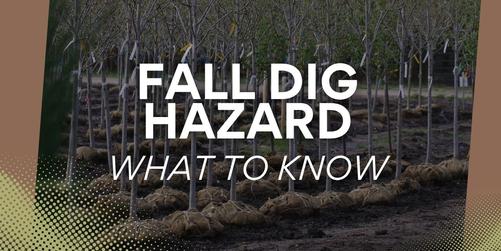 Fall Dig Hazard: What Landscapers Should Know