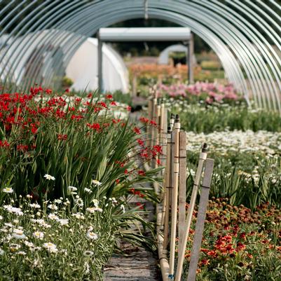 Main Office and Nursery & Natural Stone Yard