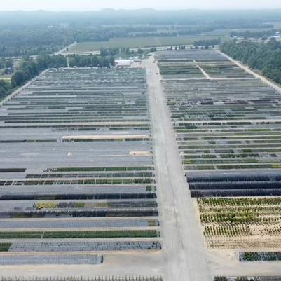West Olive - Nursery Pick Ups & Growing Facility