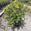 View Current Crop Photo