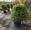 View Current Crop Photo