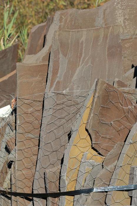 New York Bluestone Lilac