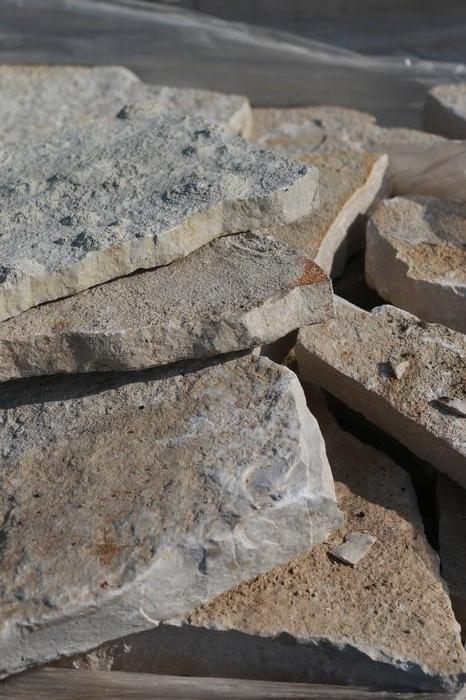 Fond du Lac Buff Steppers