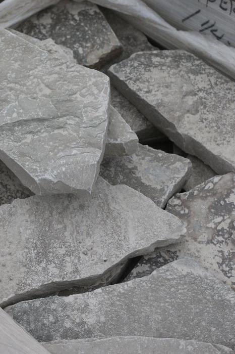 Fond du Lac Silver Steppers