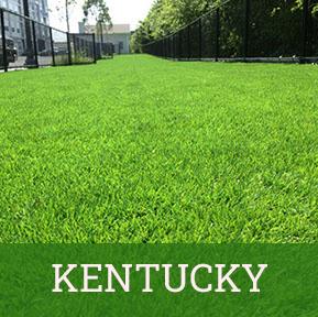 Kentucky