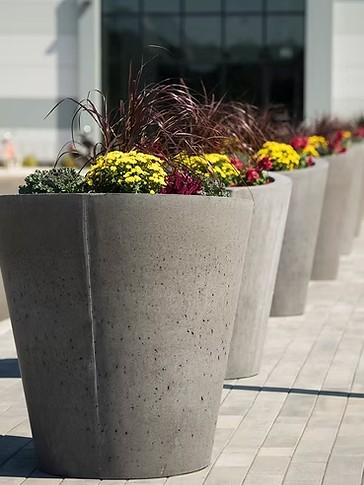 Eds Conia Planter