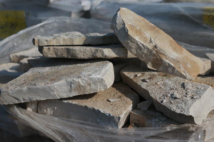 Fond du Lac Buff Steppers